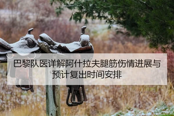 巴黎队医详解阿什拉夫腿筋伤情进展与预计复出时间安排 | kaiyun